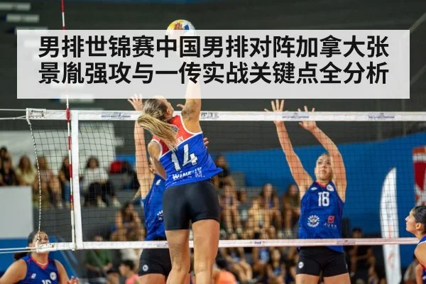 volleyball spike action